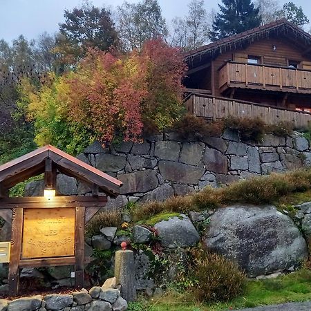 Chalet Typique Vosgien "Les Barbotines" Ventron Eksteriør billede