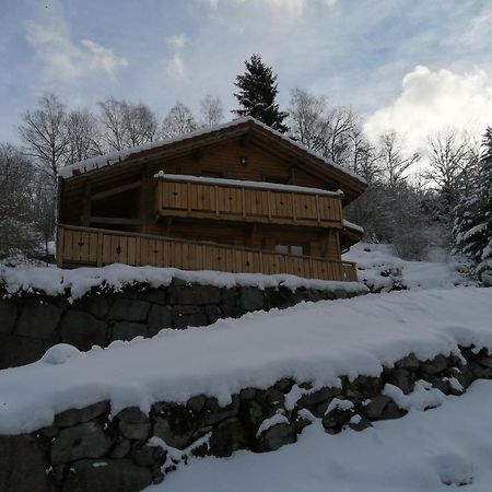 Chalet Typique Vosgien "Les Barbotines" Ventron Eksteriør billede