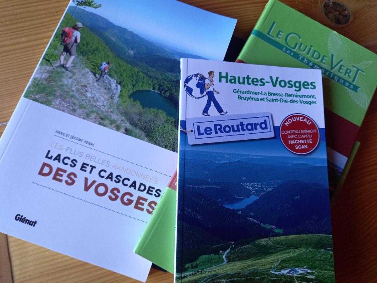 Chalet Typique Vosgien "Les Barbotines" Ventron Eksteriør billede